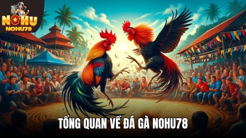 Chuyên mục đá gà danh tiếng tại Nohu78