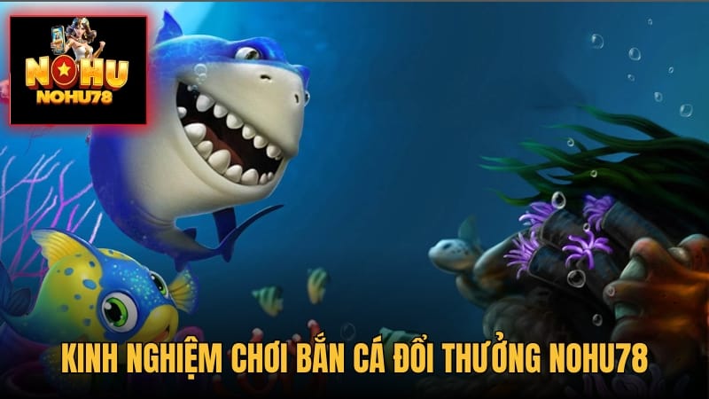 Kinh nghiệm chơi bắn cá hiệu quả tại nhà cái Nohu78